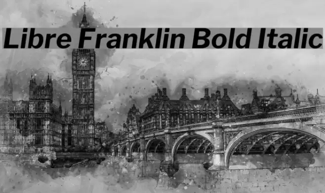 Libre Franklin Bold Italic  examples