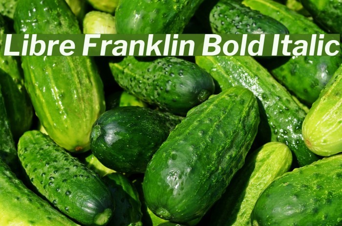 Libre Franklin Bold Italic フォント examples