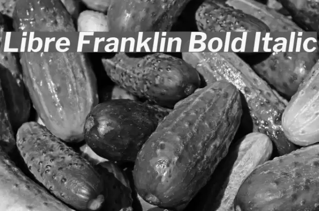 Libre Franklin Bold Italic  examples