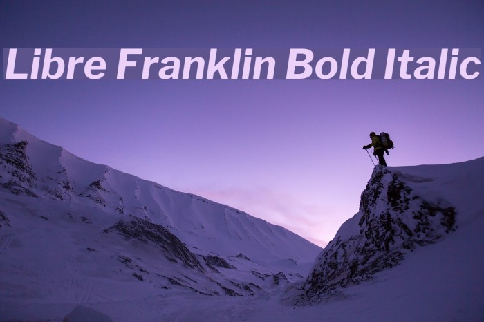 Libre Franklin Bold Italic フォント examples