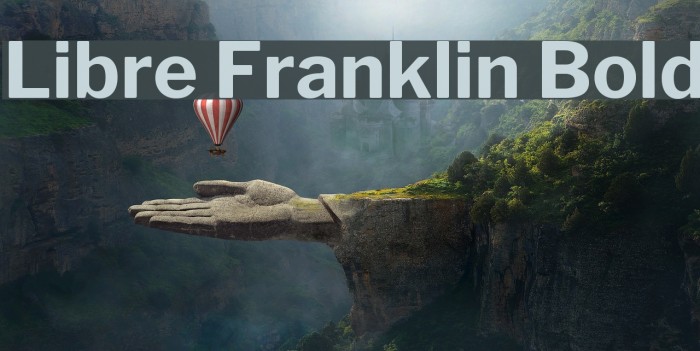 Libre Franklin Bold Font examples