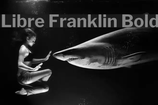 Libre Franklin Bold Font examples