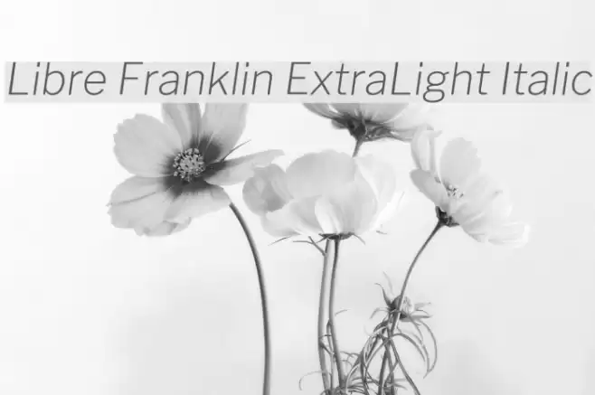 Libre Franklin ExtraLight Italic Font examples