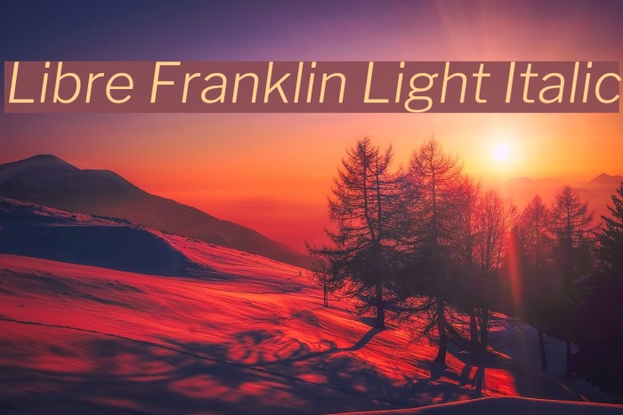 Libre Franklin Light Italic Font examples