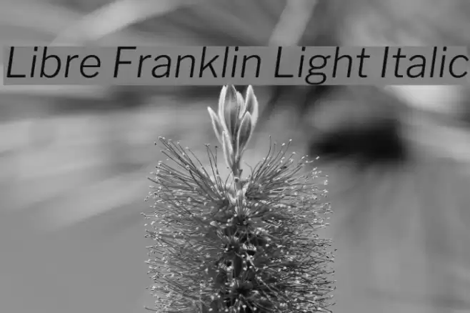 Libre Franklin Light Italic Font examples