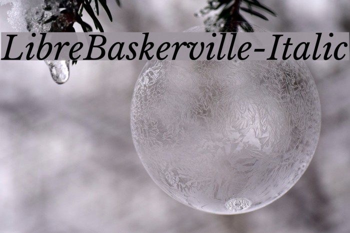 LibreBaskerville-Italic Font examples