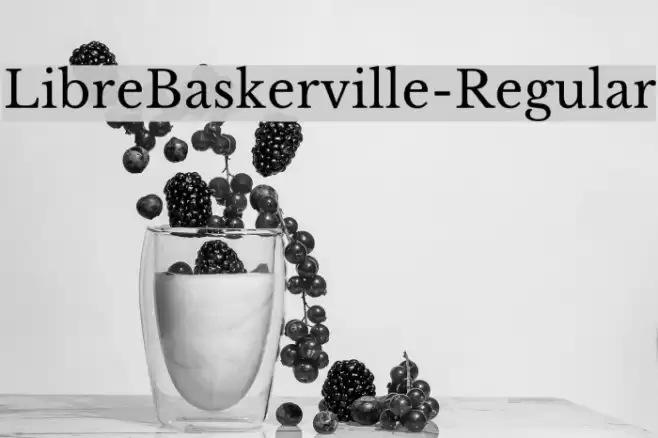 LibreBaskerville-Regular Schriftart examples