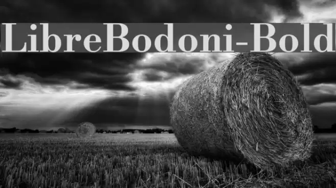 LibreBodoni-Bold Font examples