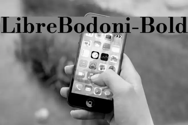 LibreBodoni-Bold Font examples