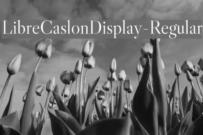 LibreCaslonDisplay-Regular Font examples