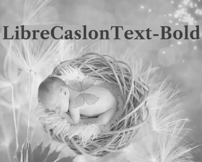 LibreCaslonText-Bold Font examples