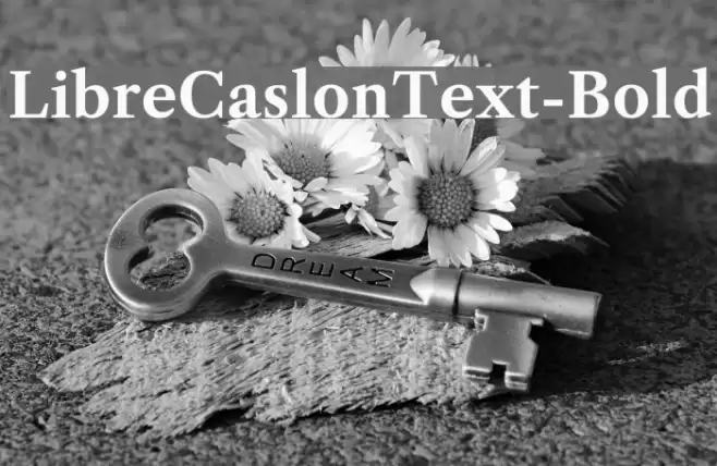 LibreCaslonText-Bold Font examples