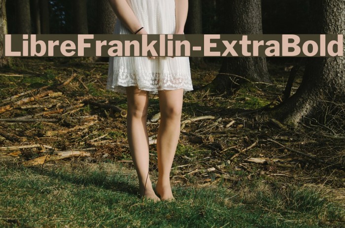 LibreFranklin-ExtraBold Polices examples