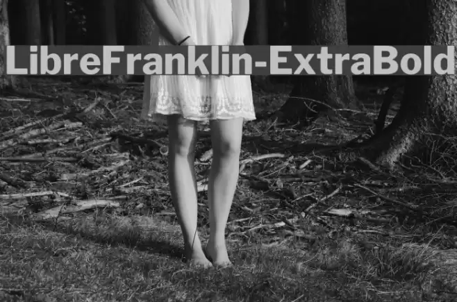 LibreFranklin-ExtraBold Polices examples