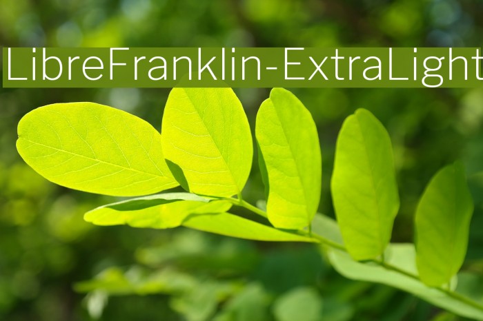LibreFranklin-ExtraLight Font examples