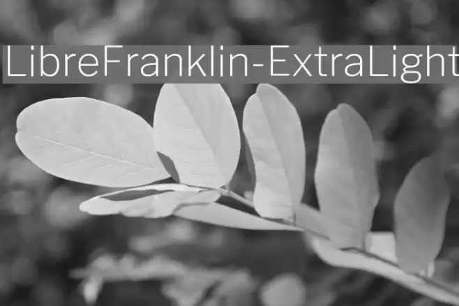 LibreFranklin-ExtraLight Font examples