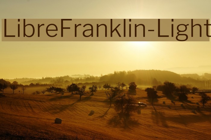 LibreFranklin-Light Font examples