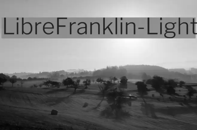 LibreFranklin-Light examples