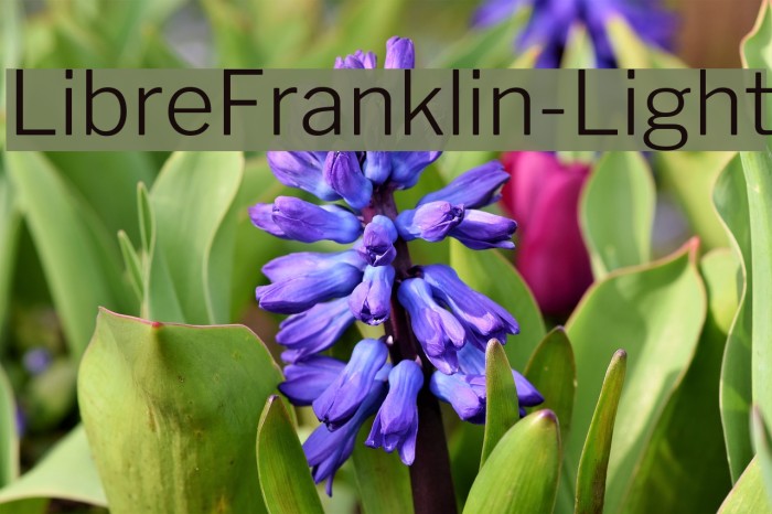 LibreFranklin-Light Font examples