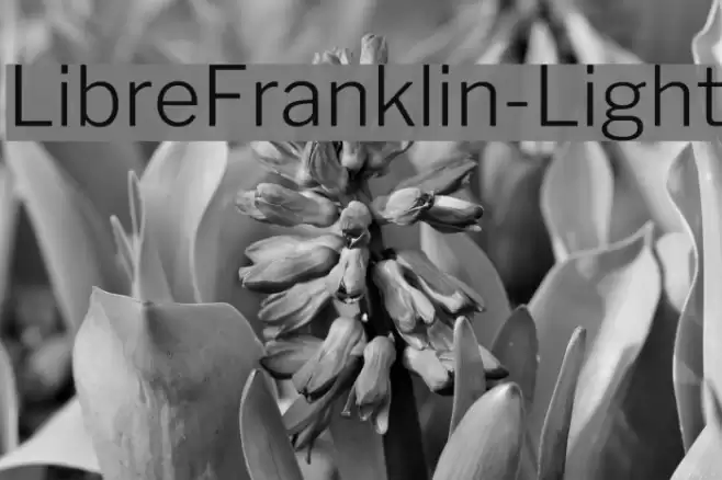 LibreFranklin-Light examples