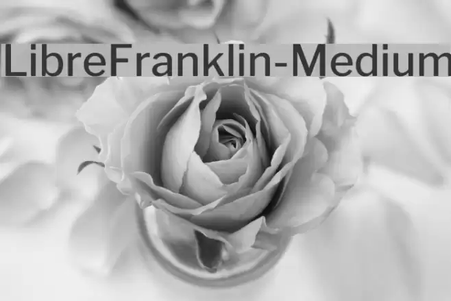 LibreFranklin-Medium Font examples