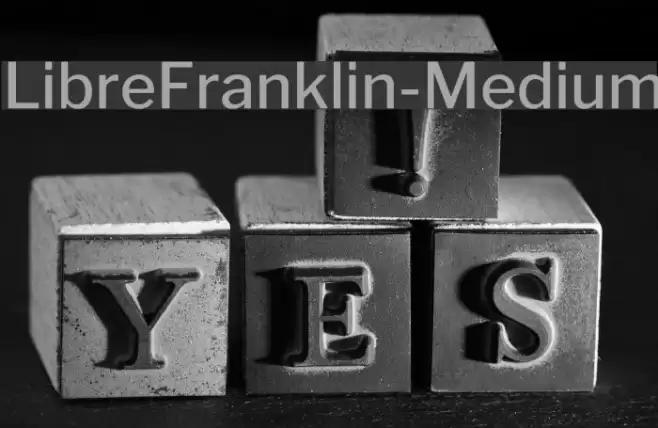LibreFranklin-Medium Font examples