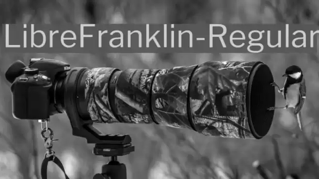 LibreFranklin-Regular Font examples