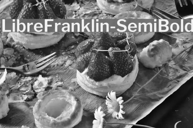 LibreFranklin-SemiBold Font examples