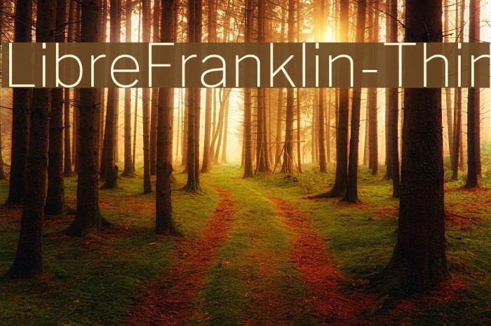 LibreFranklin-Thin Font examples