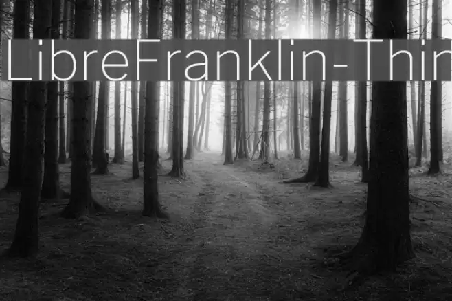 LibreFranklin-Thin  examples