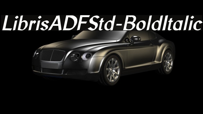 LibrisADFStd-BoldItalic Font examples