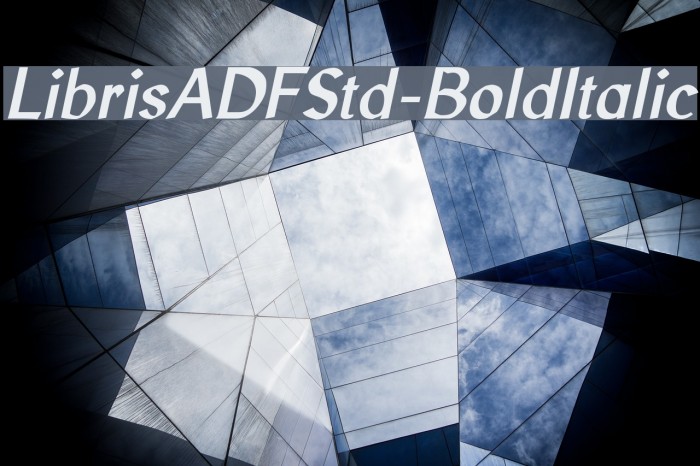 LibrisADFStd-BoldItalic Font examples