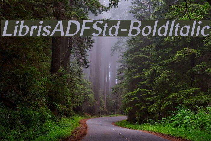 LibrisADFStd-BoldItalic Font examples