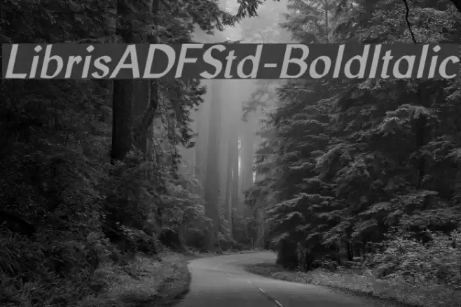 LibrisADFStd-BoldItalic Fuentes examples