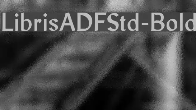 LibrisADFStd-Bold Example 2