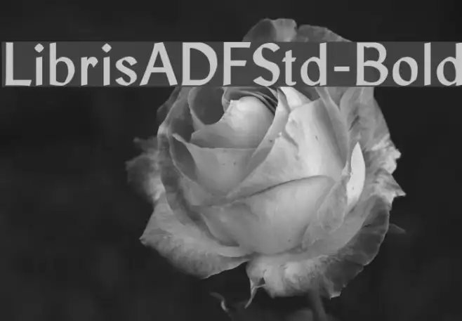 LibrisADFStd-Bold Example 3