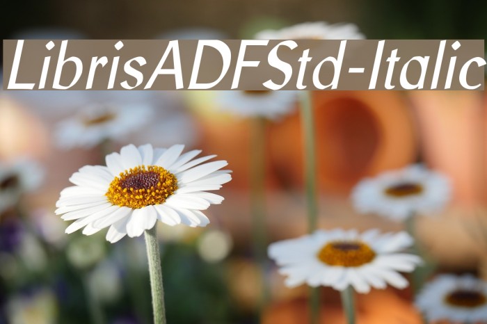 LibrisADFStd-Italic Fuentes examples
