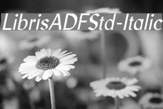 LibrisADFStd-Italic Fuentes examples