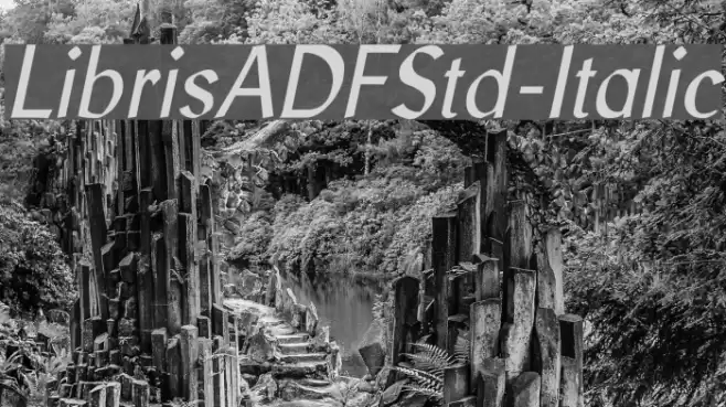 LibrisADFStd-Italic Fuentes examples