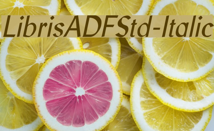 LibrisADFStd-Italic Fuentes examples