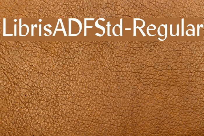 LibrisADFStd-Regular Font examples