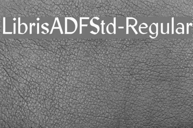LibrisADFStd-Regular Font examples