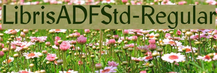 LibrisADFStd-Regular Font examples
