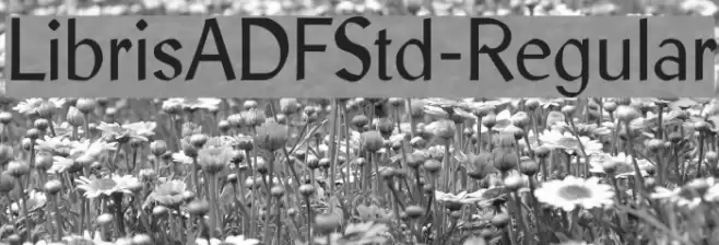 LibrisADFStd-Regular Font examples