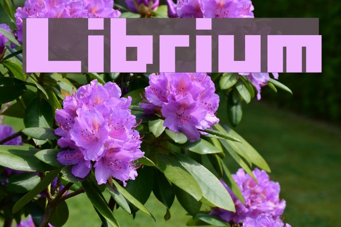 Librium Font examples