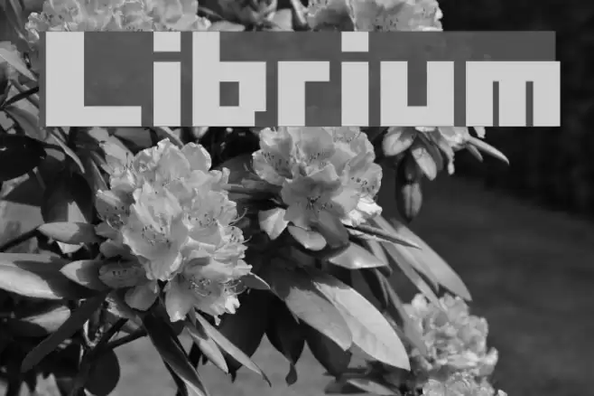 Librium Fonte examples