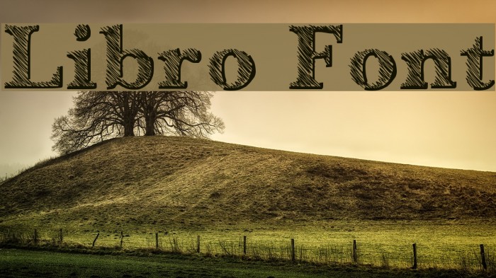 Libro Font examples