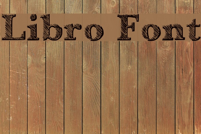 Libro Font examples