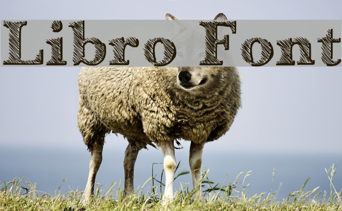 Libro Font examples