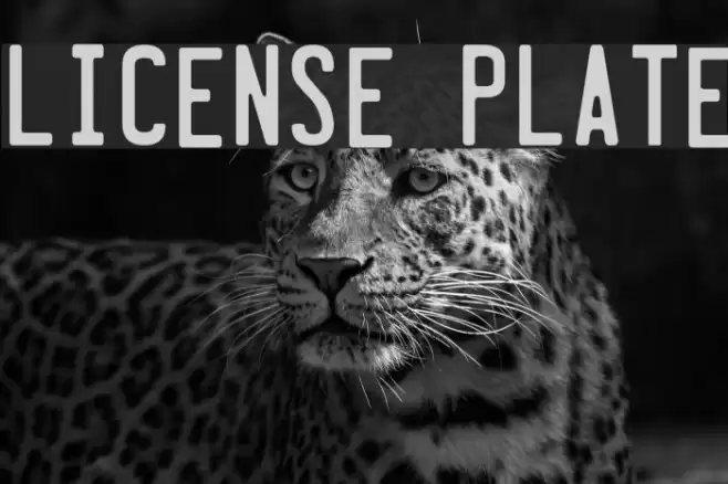 License Plate Font examples